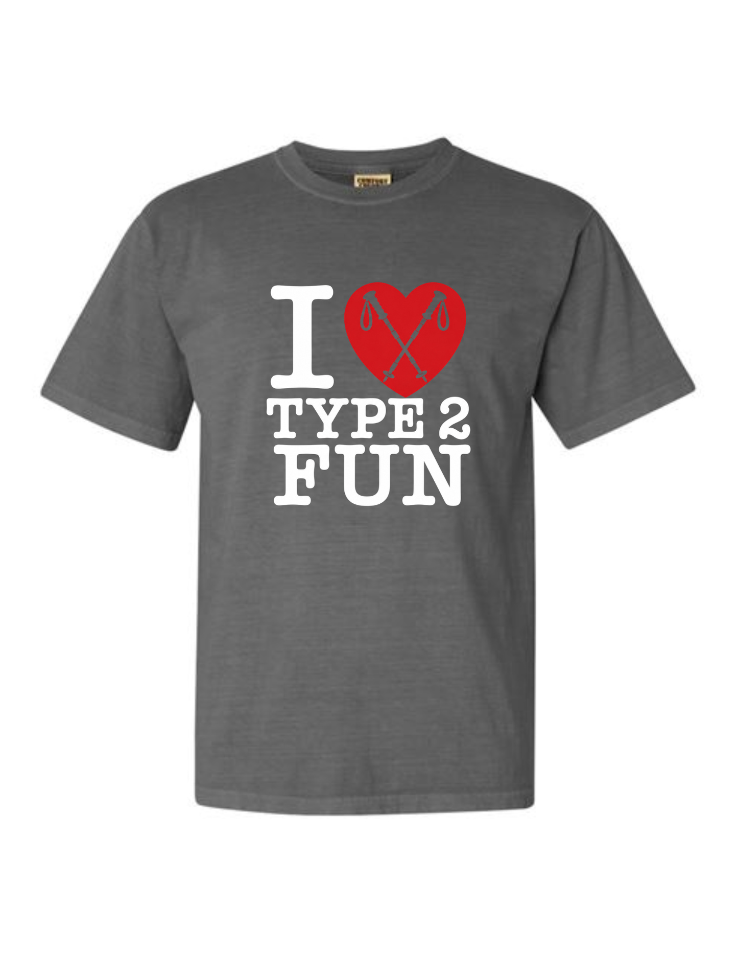 Type 2 Fun Comfort Colors Tshirt